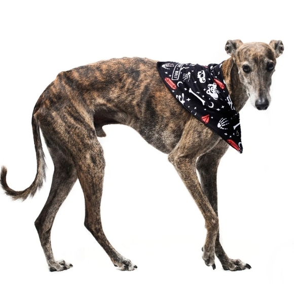 Rogue + Wolf ✦ “You Can’t Dig With Us” Reversible Pet Bandana ✦ Bones + Crystals - Picture 8 of 16